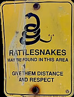 narcisse dens sign