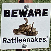 Rattlesnake Sign