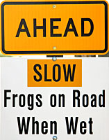 frog sign