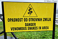 Rattlesnake Sign