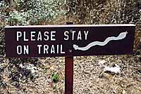 Rattlesnake Sign