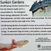 sunken gardens