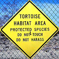 Desert Tortoise Sign