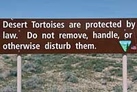 Desert Tortoise Sign