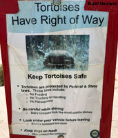 Desert Tortoise Sign