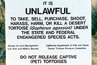 Desert Tortoise Sign