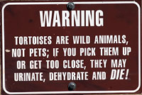 Desert Tortoise Sign