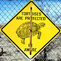 Desert Tortoise Sign