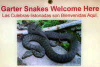 Narrow-headed Gartersnake sign