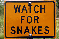 snake sign