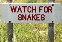 snake sign