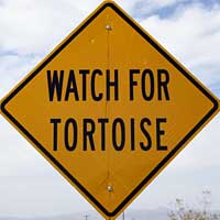 Desert Tortoise Sign