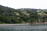 Santa Cruz Island