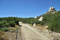 Cope's Leopard Lizard Habitat