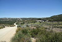 Cope's Leopard Lizard Habitat