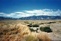 Blunt-nosed Leopard Lizard Habitat