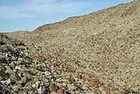 California Lyresnake Habitat