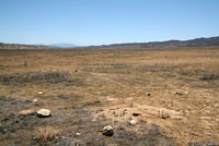 Blunt-nosed Leopard Lizard Habitat