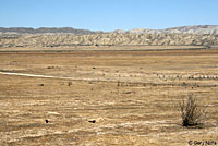 Blunt-nosed Leopard Lizard Habitat