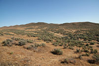 Blunt-nosed Leopard Lizard Habitat