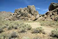 Long-nosed Leopard Lizard Habitat