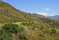 california kingsnake habitat