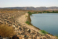 Common Chuckwalla Habitat