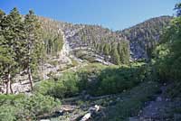 Southern Sagebrush Lizard Habitat