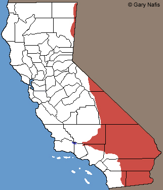 Long-nosed Leopard Lizard Range Map