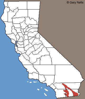 Flat-tail Horned Lizard Range Map