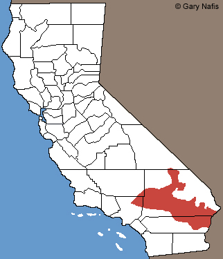 Mohave Fringe-toed Lizard range map