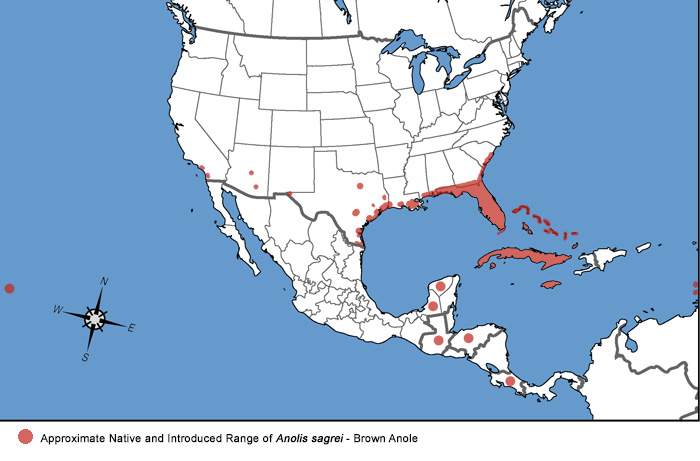 Full Species Range Map