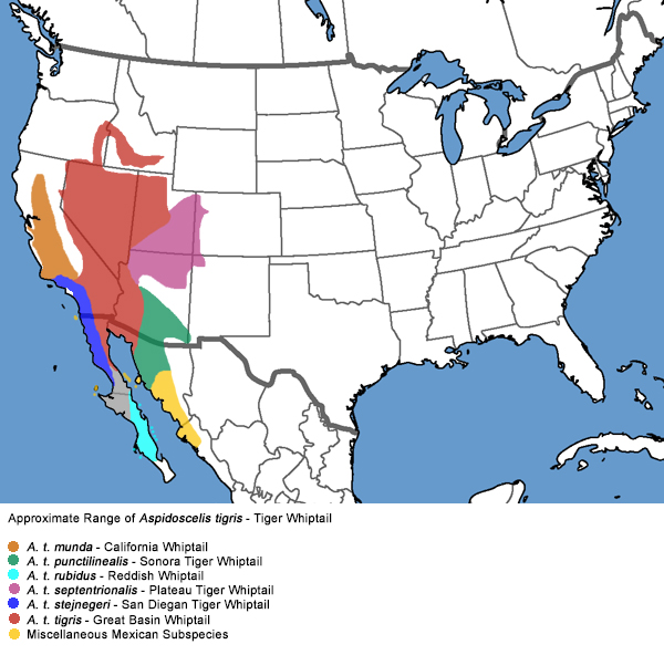 Full Species Range Map