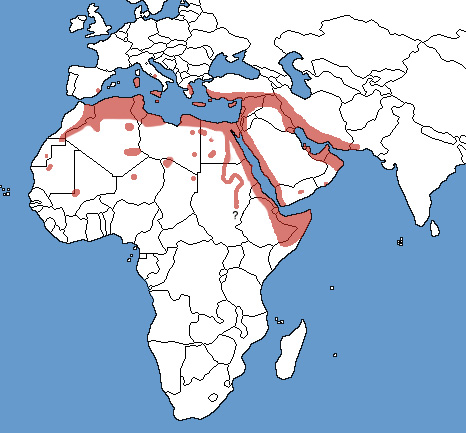 Full Species Range Map