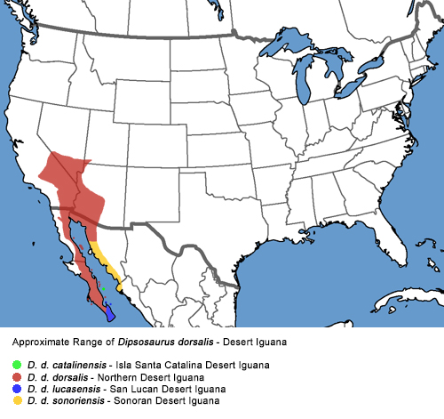 Full Species Range Map