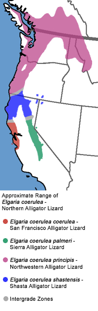 Range Map