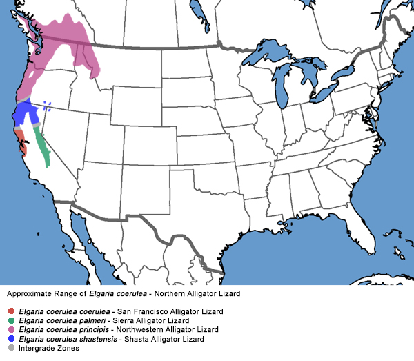 Full Species Range Map