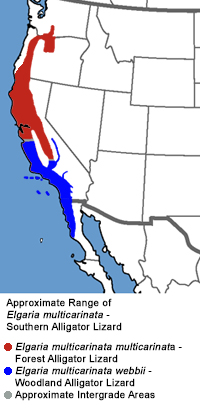 Range Map