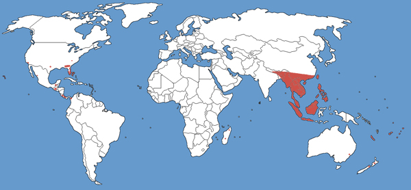 Full Species Range Map