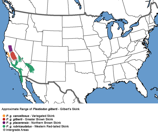 Full Species Range Map