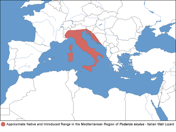 Full Species Range Map