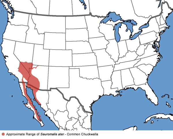 Full Species Range Map