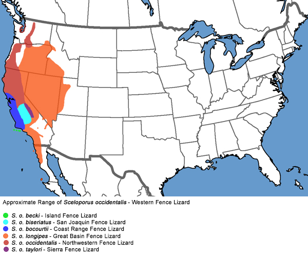 Full Species Range Map