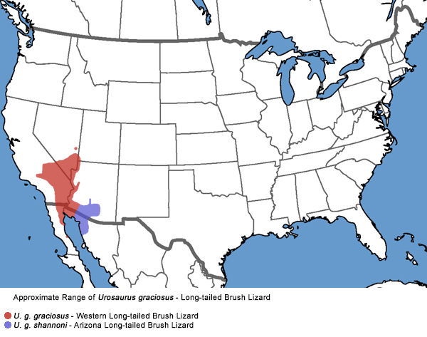 Full Species Range Map