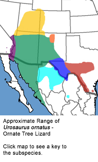 range map