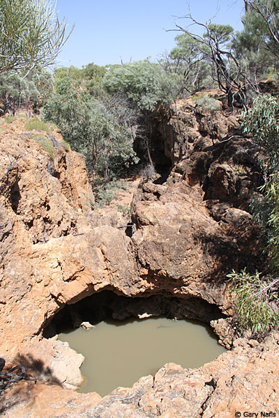 Habitat