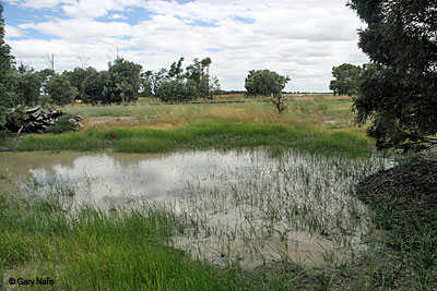 Habitat