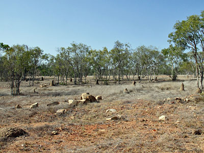 habitat