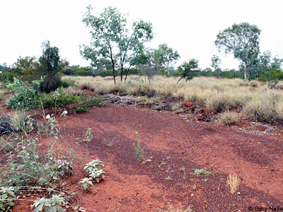 habitat