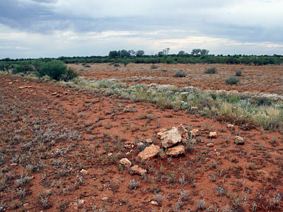 habitat